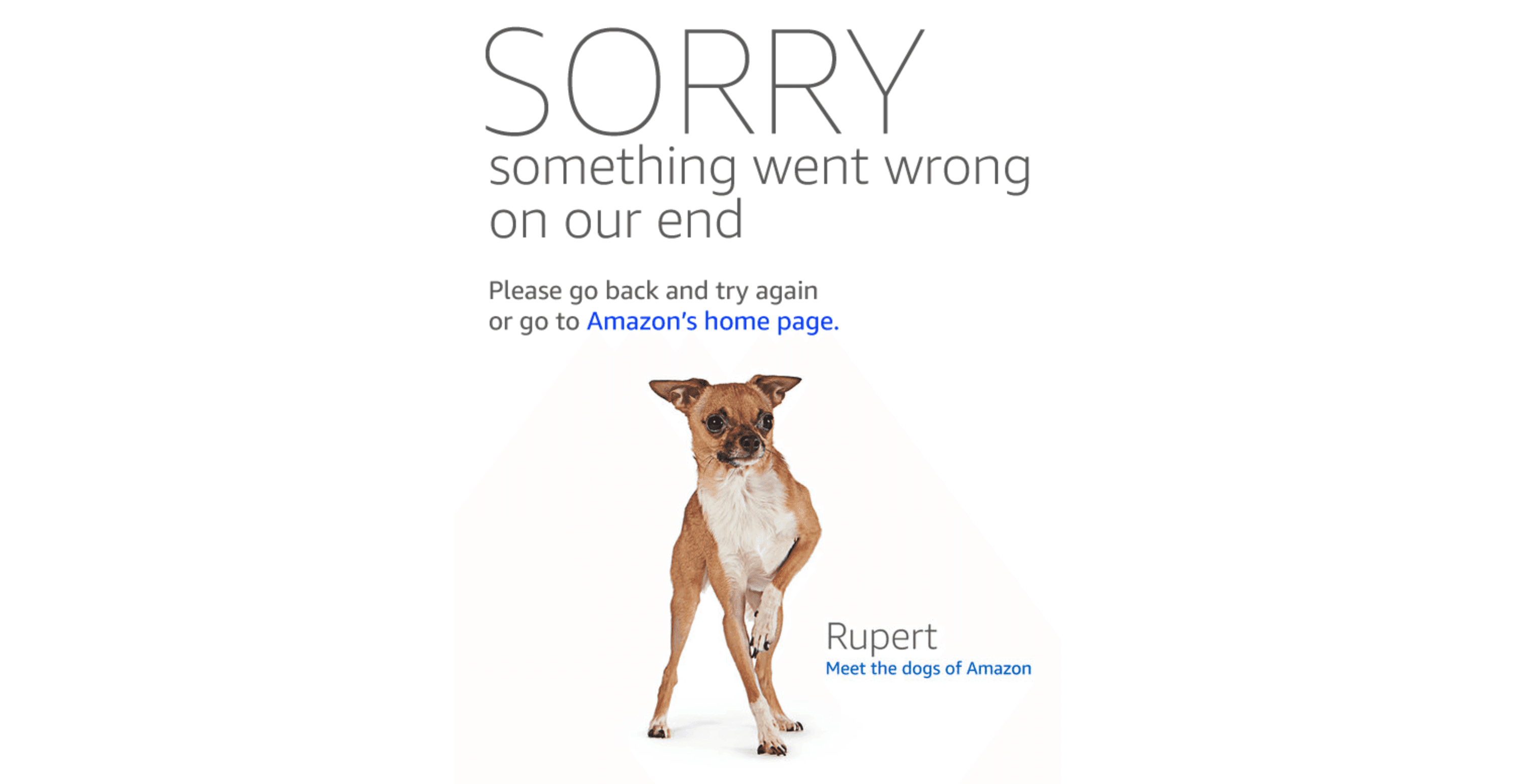 Amazon's 503 error shown on the page