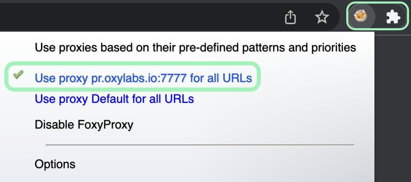 Activating the proxy server for all URLs