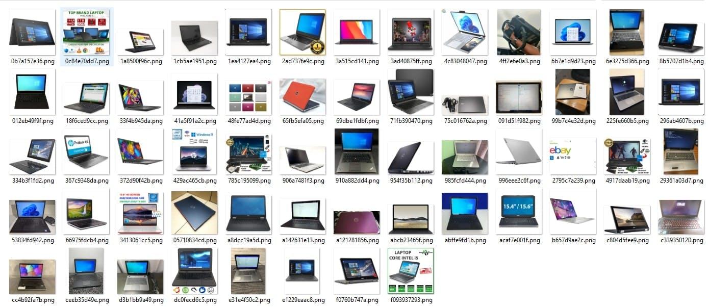 An example of the downloaded images in a folder