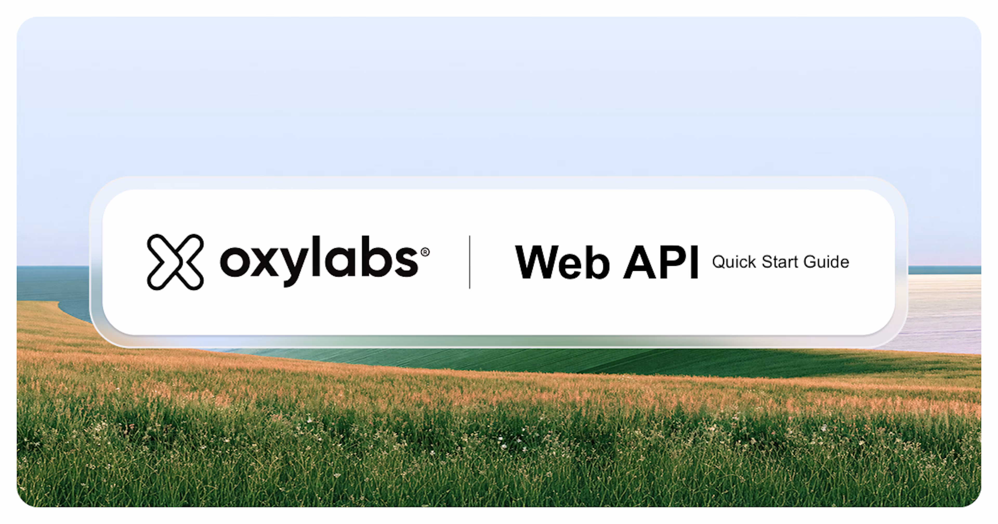 Oxylabs Web API Quick Start Guide