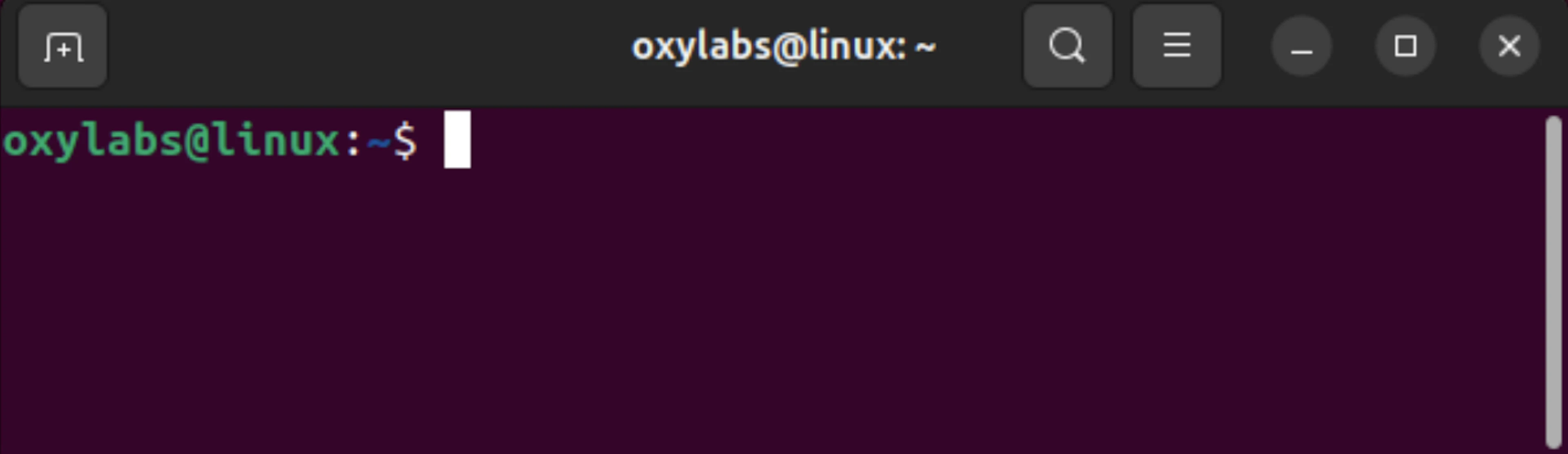 Opening Linux (Ubuntu) Terminal