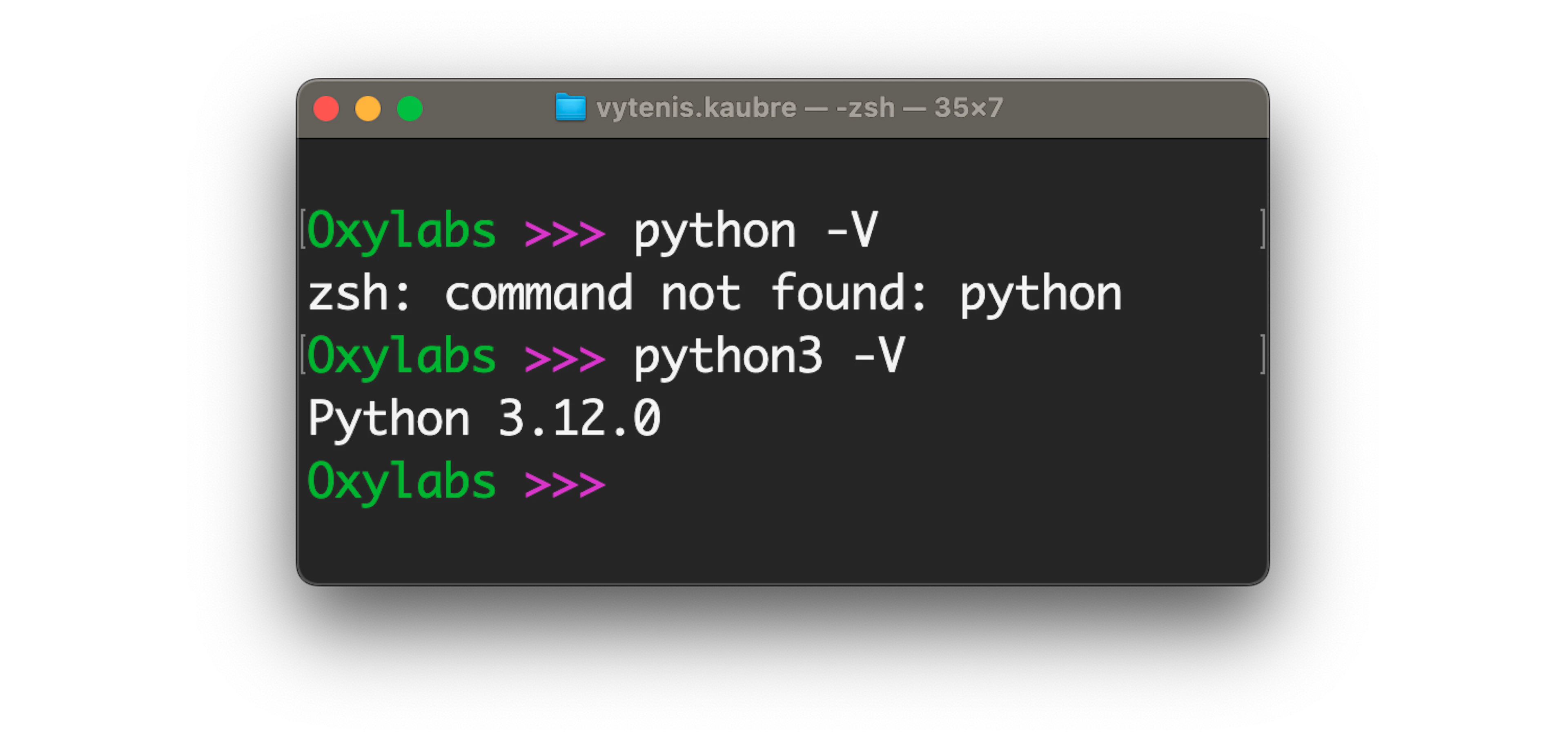 Checking the Python version