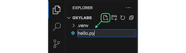 How To Run A Python Script In Terminal