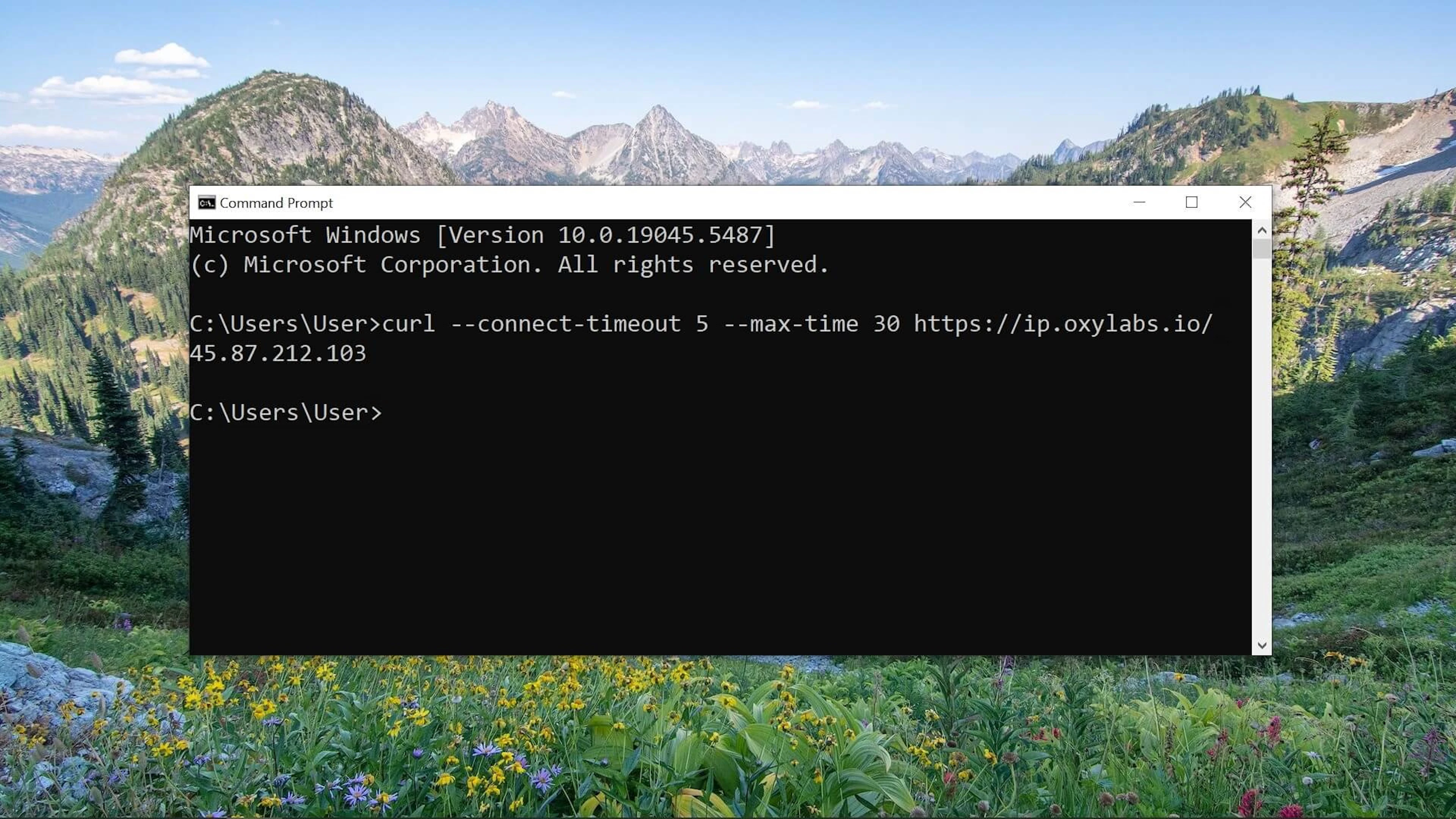How to Use Timeouts With cURL Requests?