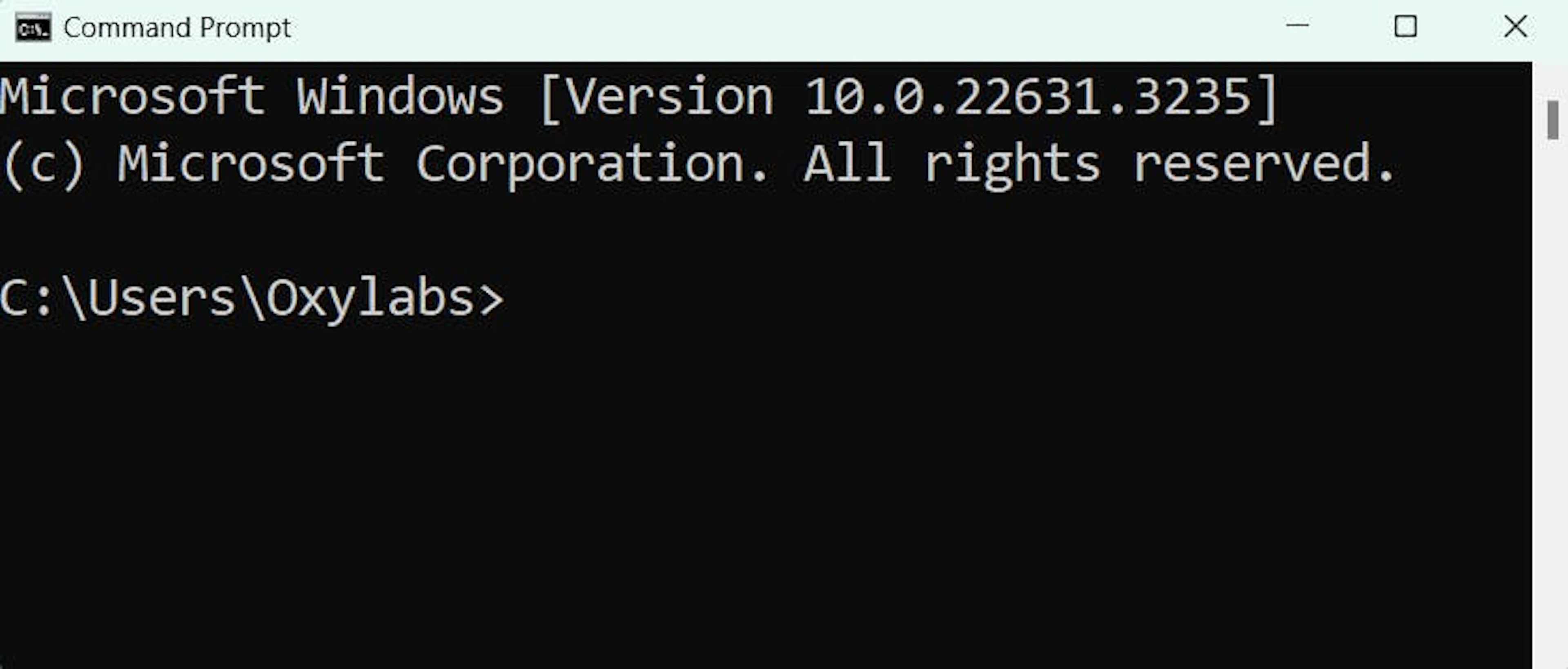Windows terminal