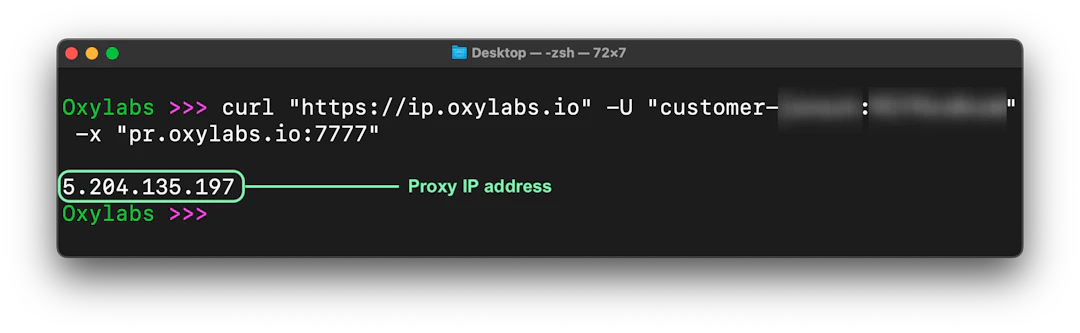 How to Use a Terminal to Test Proxies and Scrapers