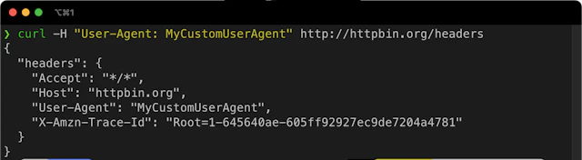 How to Send HTTP Headers With cURL