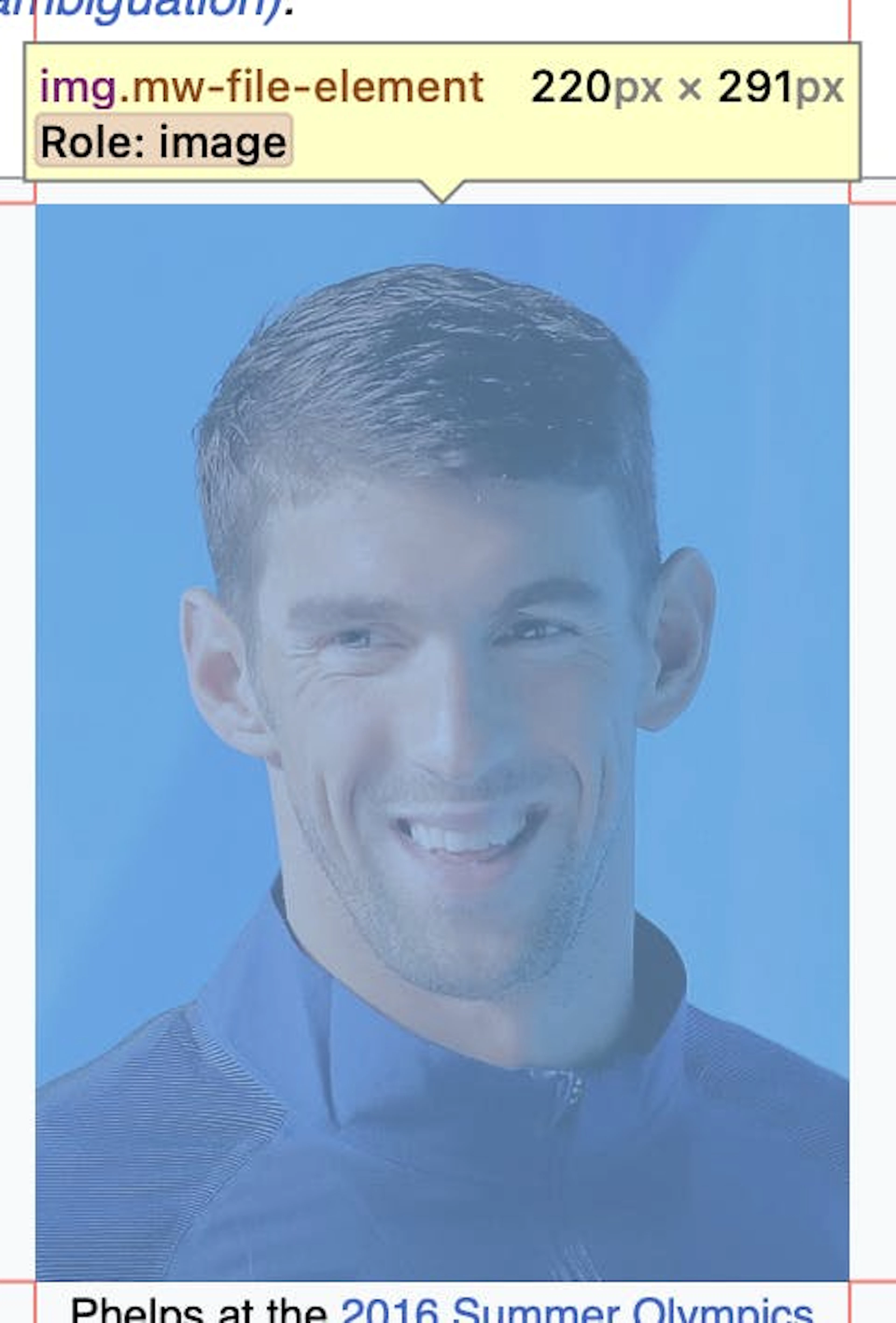 wiki img