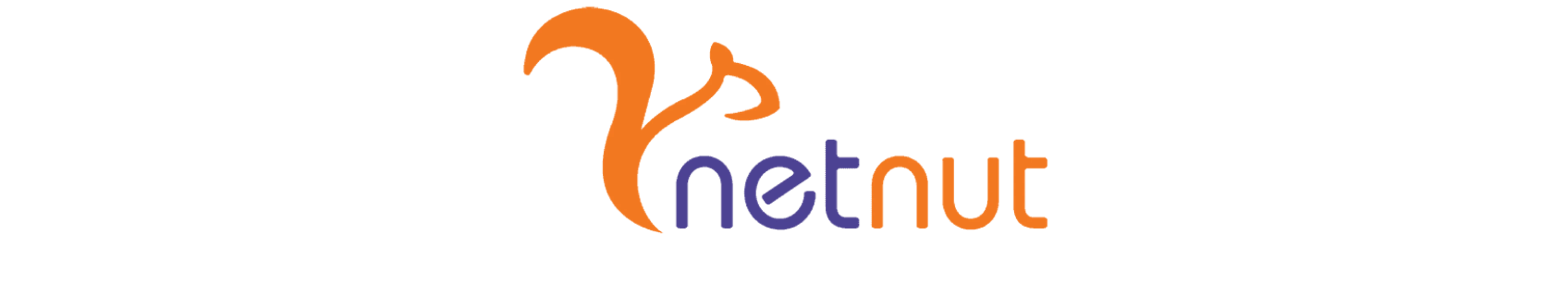 best proxies to use list – NetNut
