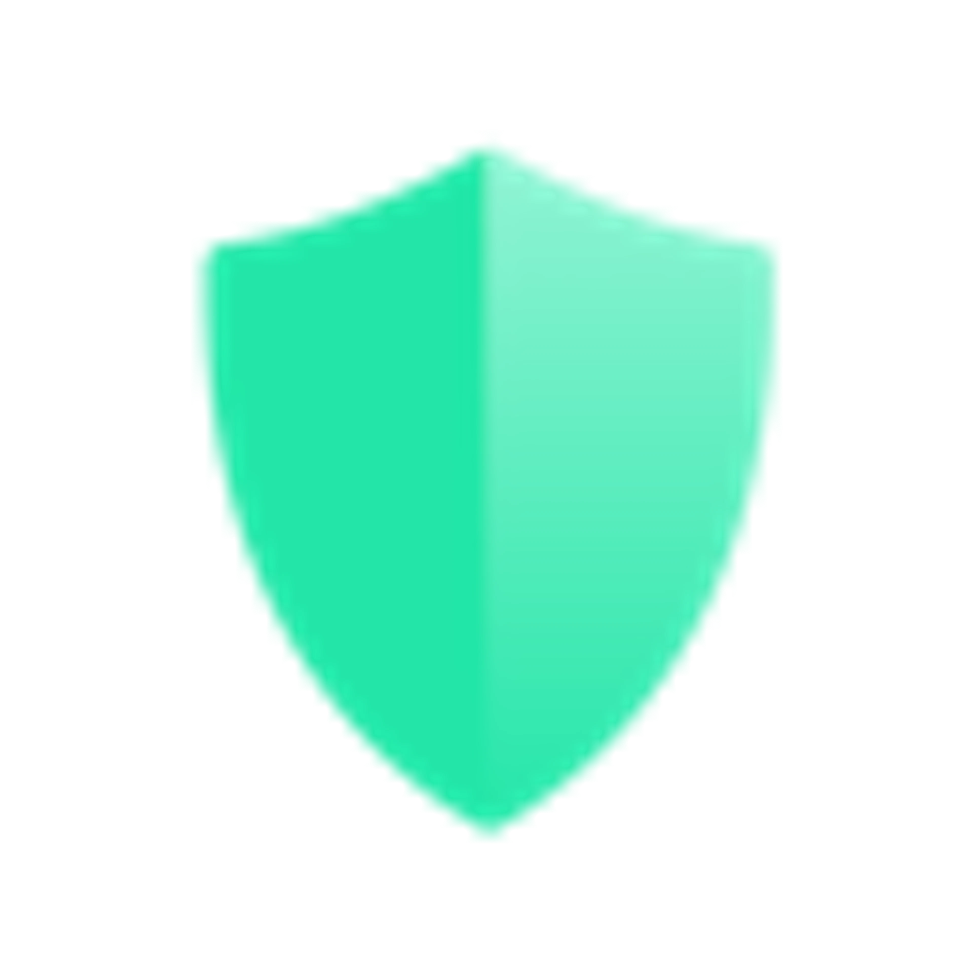 protection shield icon