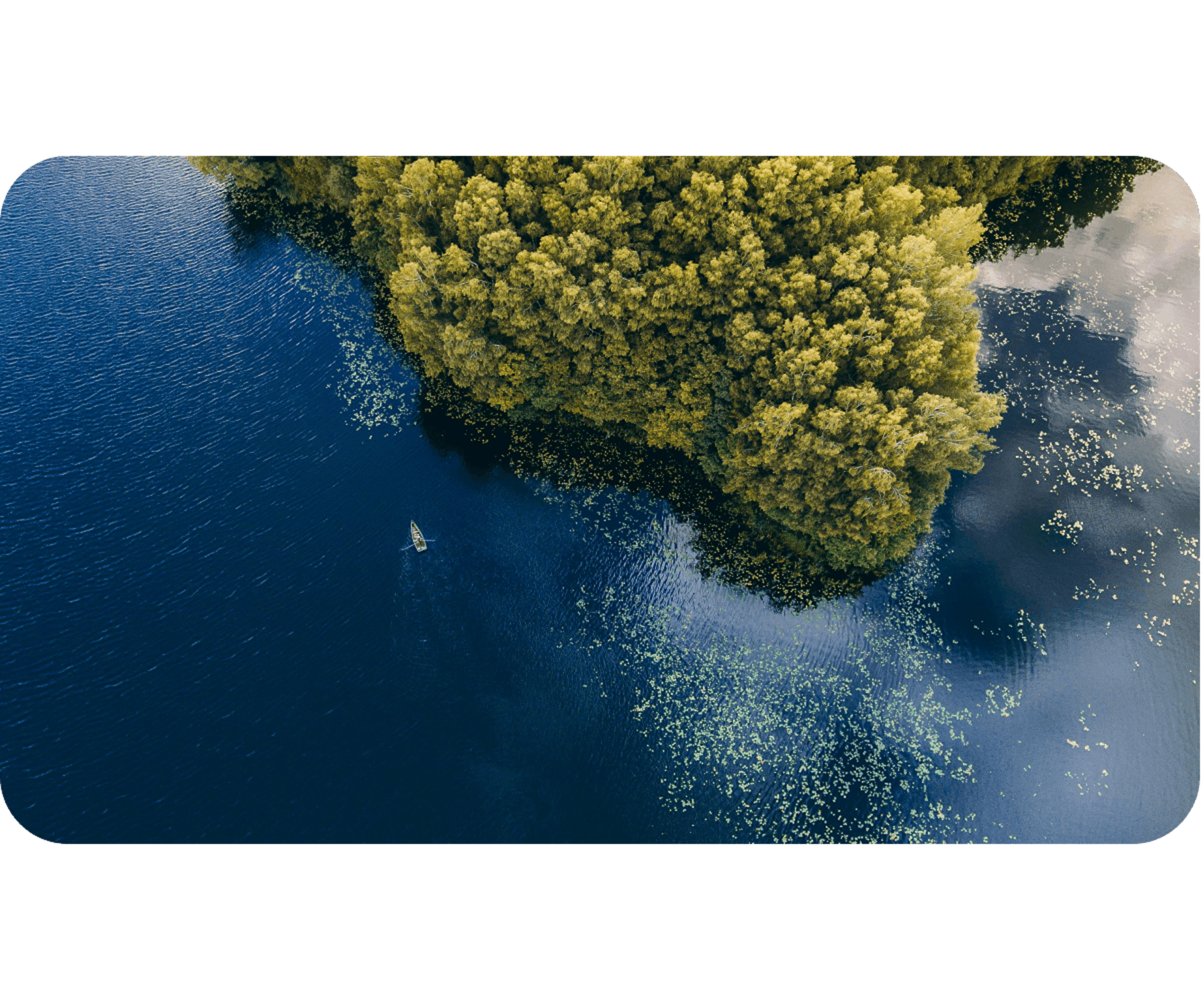 Environmental partnerships