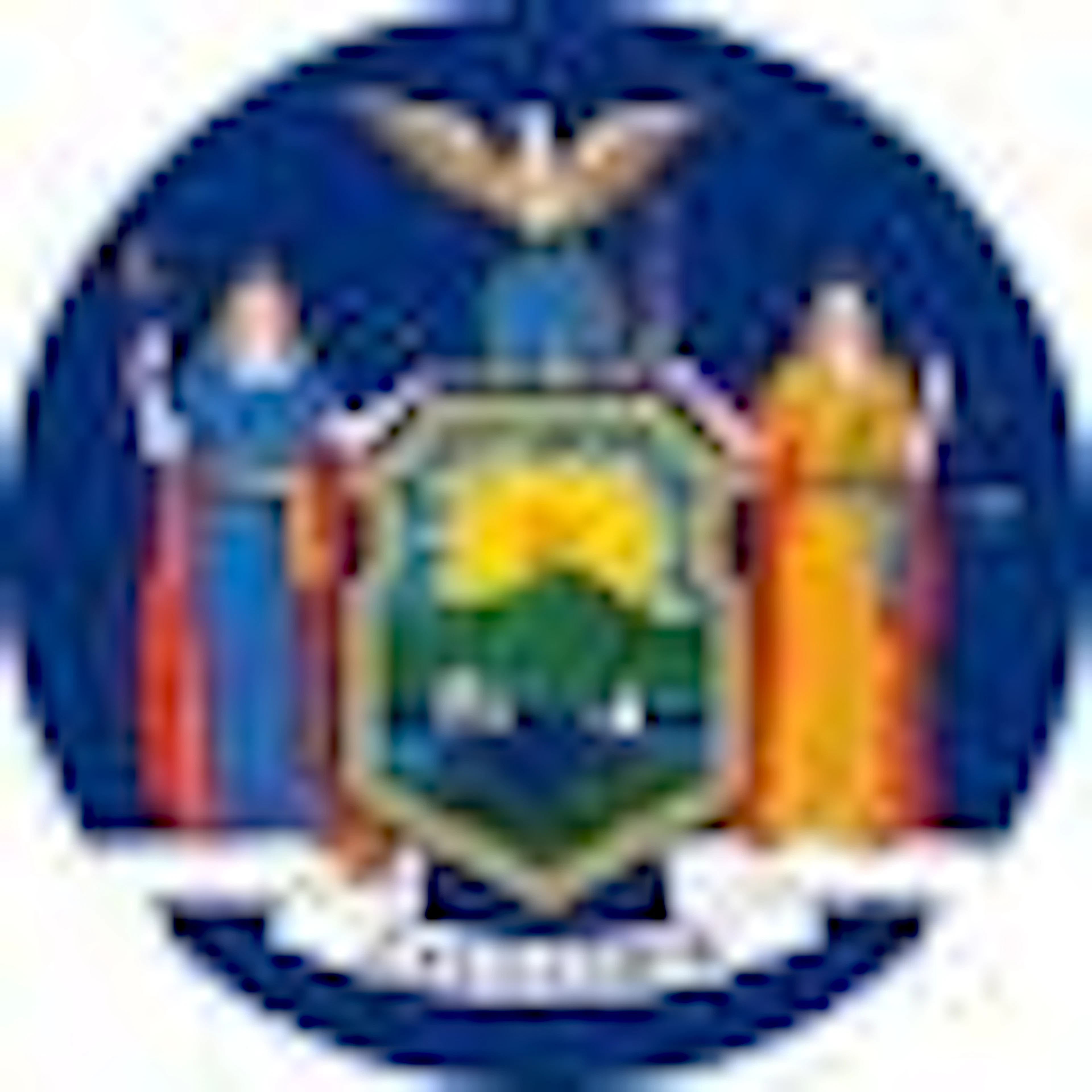 The flag of New York