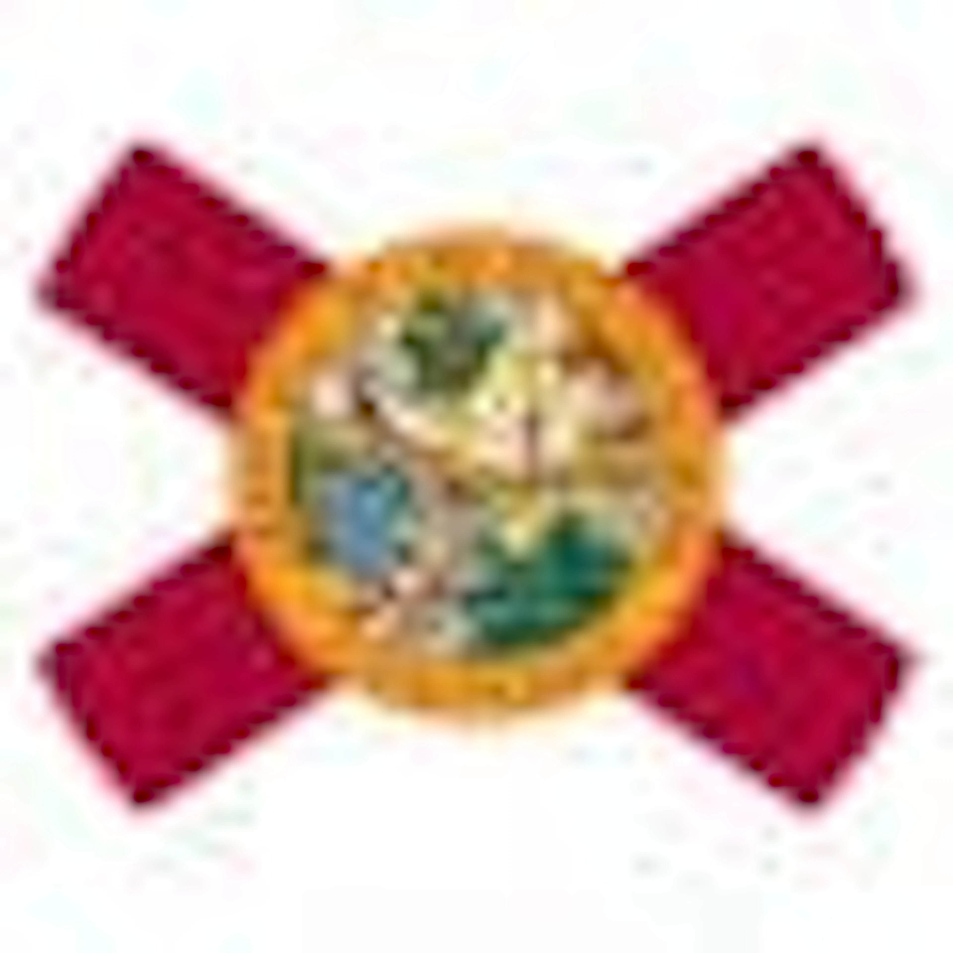 The flag of Florida