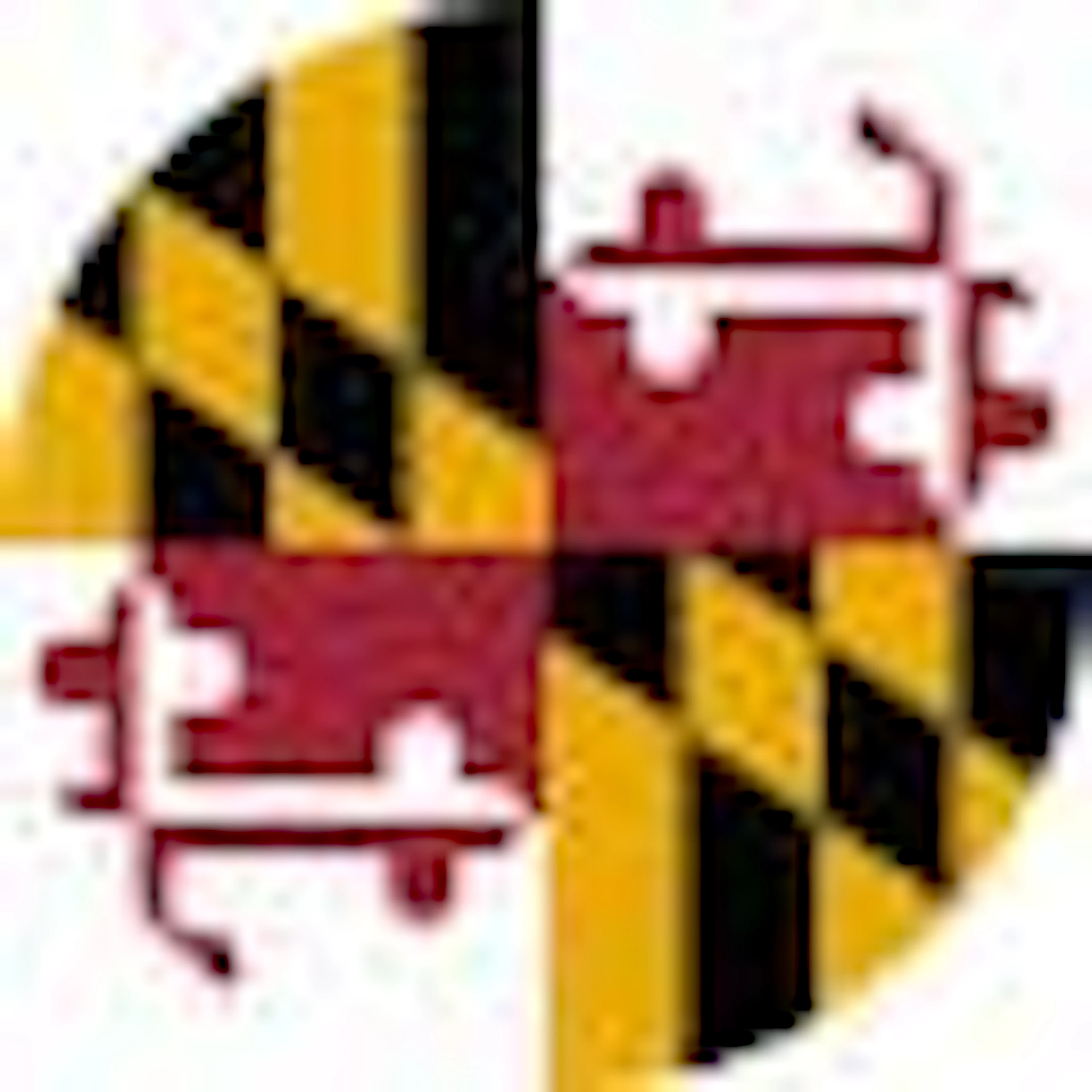The flag of Maryland