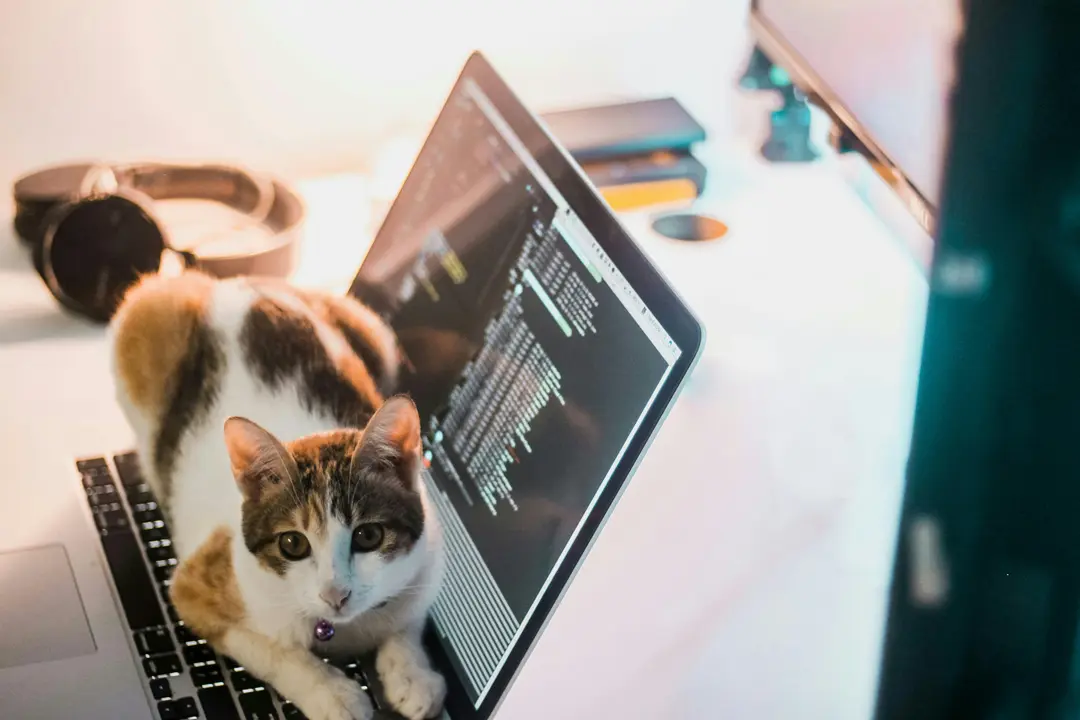 How to Scrape Google AI Mode in 2025