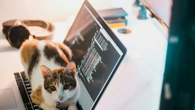How to Scrape Google AI Mode in 2025