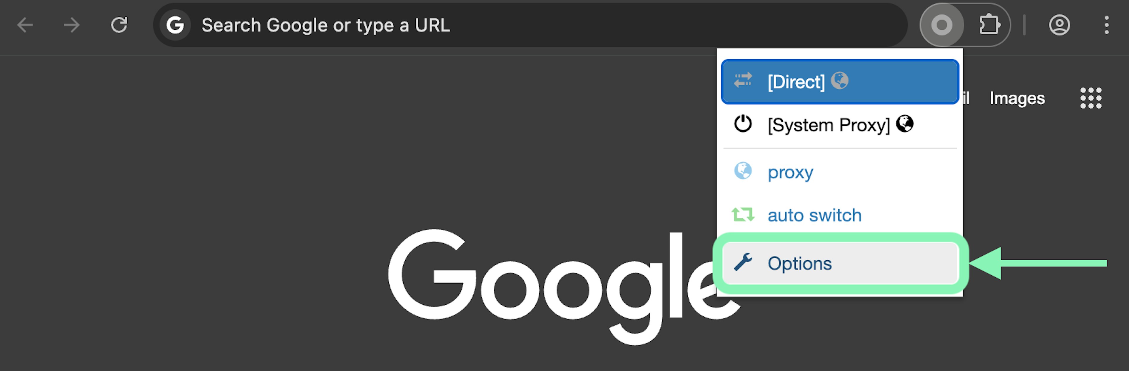 ZeroOmega browser extension Options menu