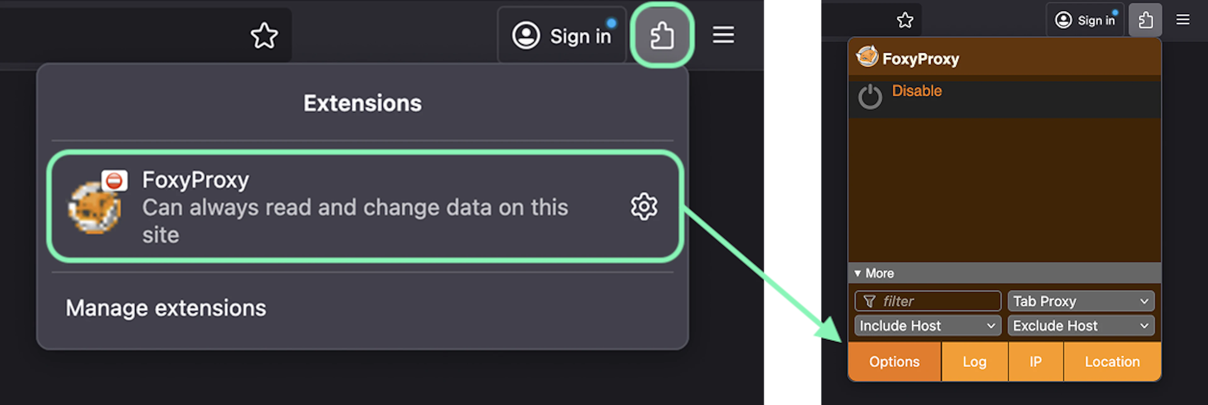 open options from the extension for firefox